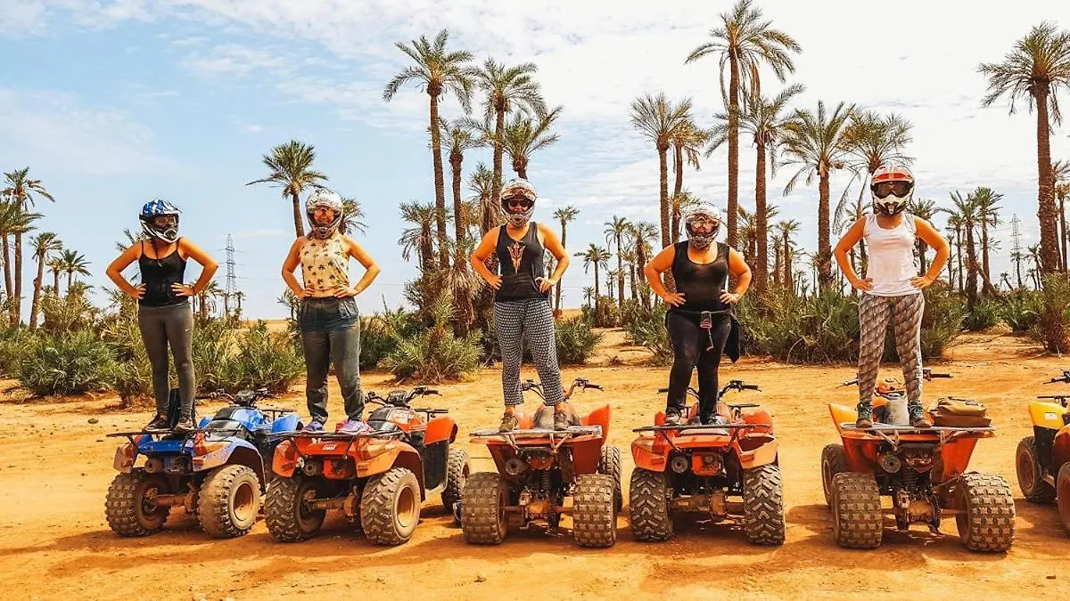Marrakech Quad Bike Experience Desert And Palmeraie 马拉喀什